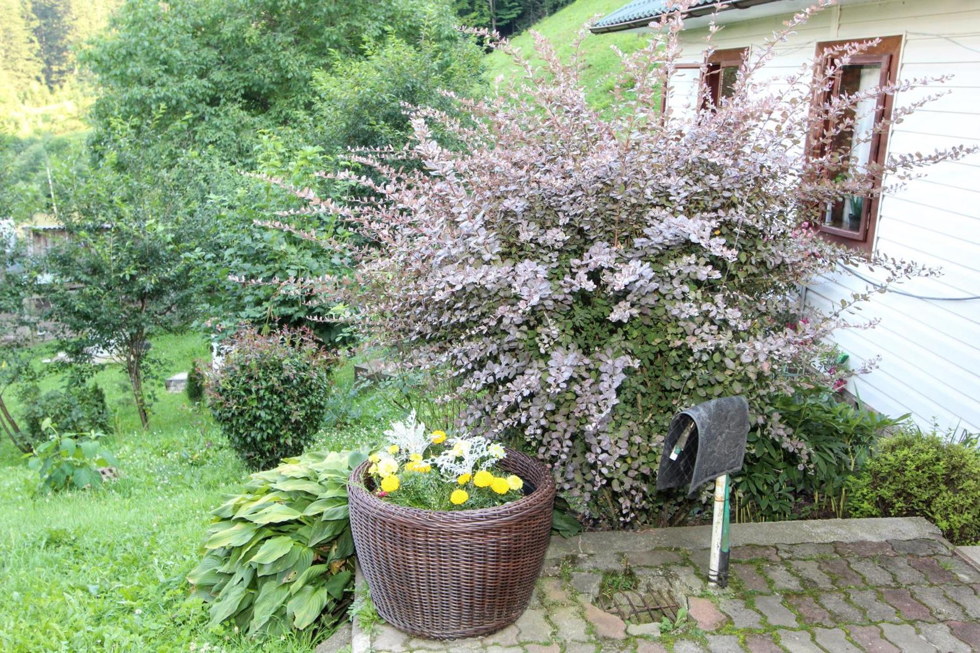 Котедж "Красний Краєвид" Yaremche Exterior photo